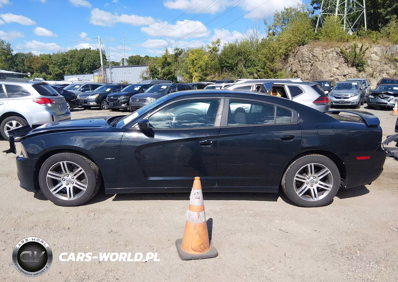 2013 Dodge Charger R-T VIN:2C3CDXCTXDH516436 - 14