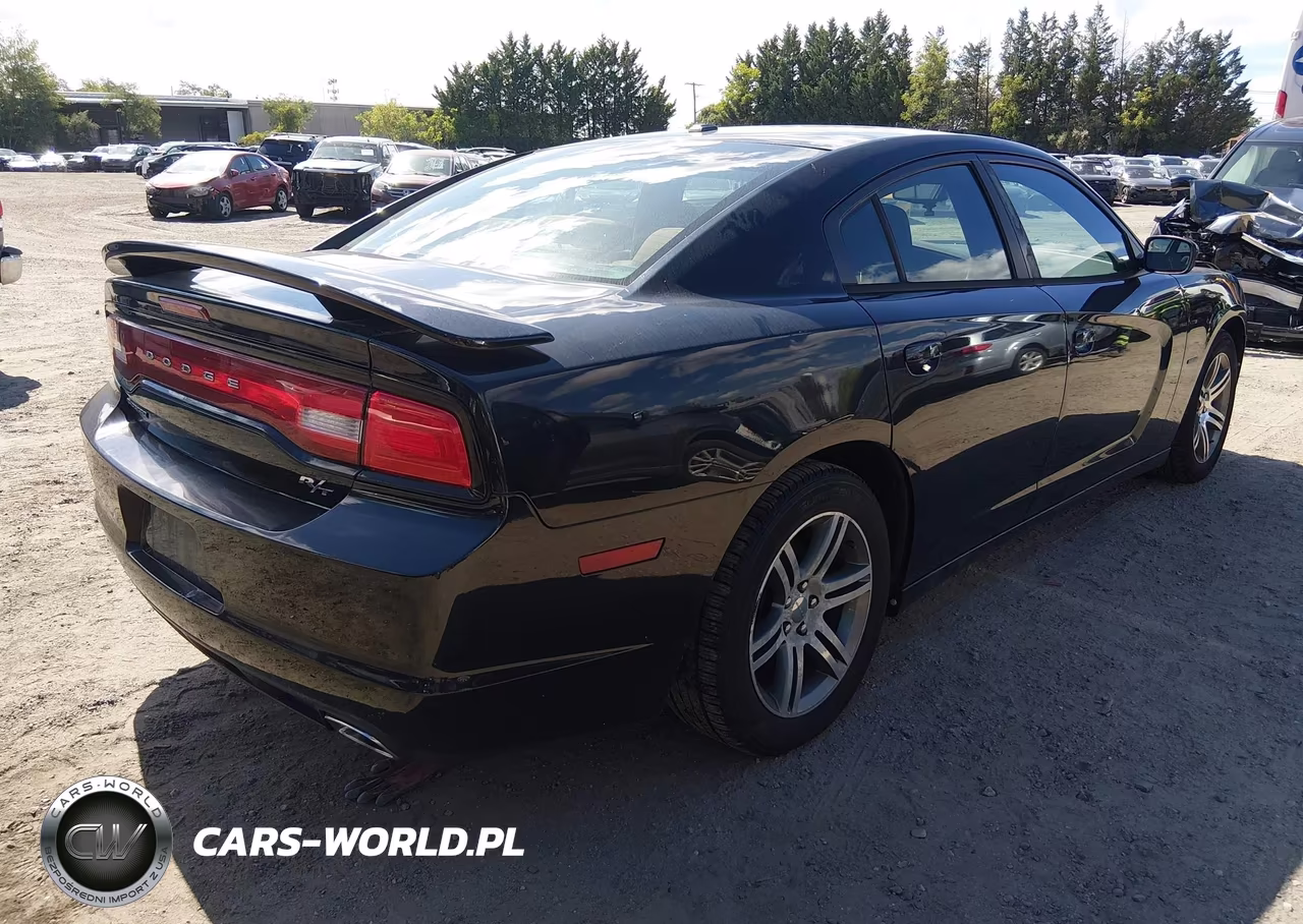 2013 Dodge Charger R-T VIN:2C3CDXCTXDH516436 - 4