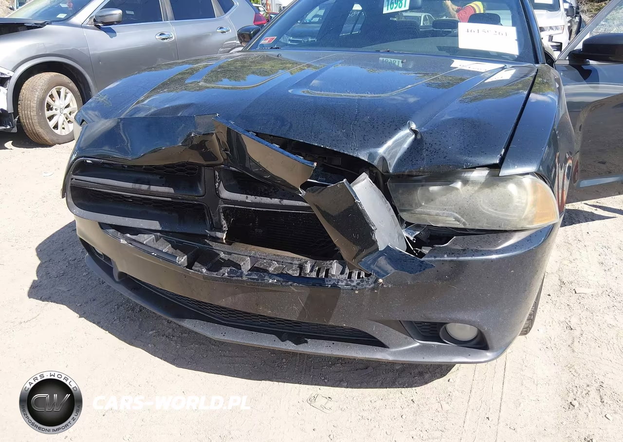 2013 Dodge Charger R-T VIN:2C3CDXCTXDH516436 - 6