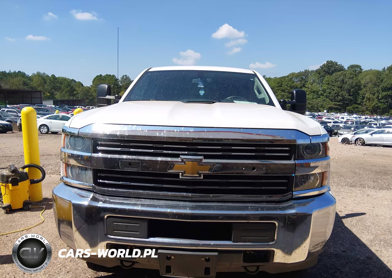 2018 Chevrolet Silverado 3500Hd Wt VIN:1GC4KYCG4JF275761 - 12