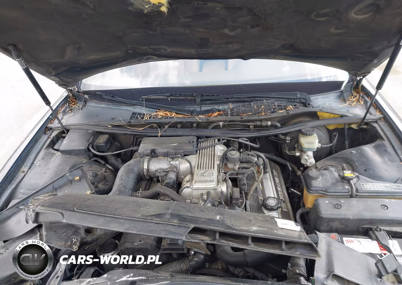 1994 Lexus Ls 400 VIN:JT8UF11E6R0206130 - 10