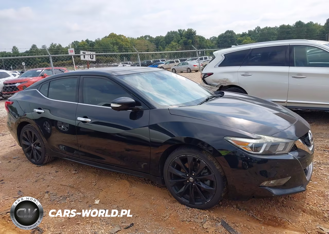 2016 Nissan Maxima 3.5 Platinum VIN:1N4AA6AP7GC435340 - 13