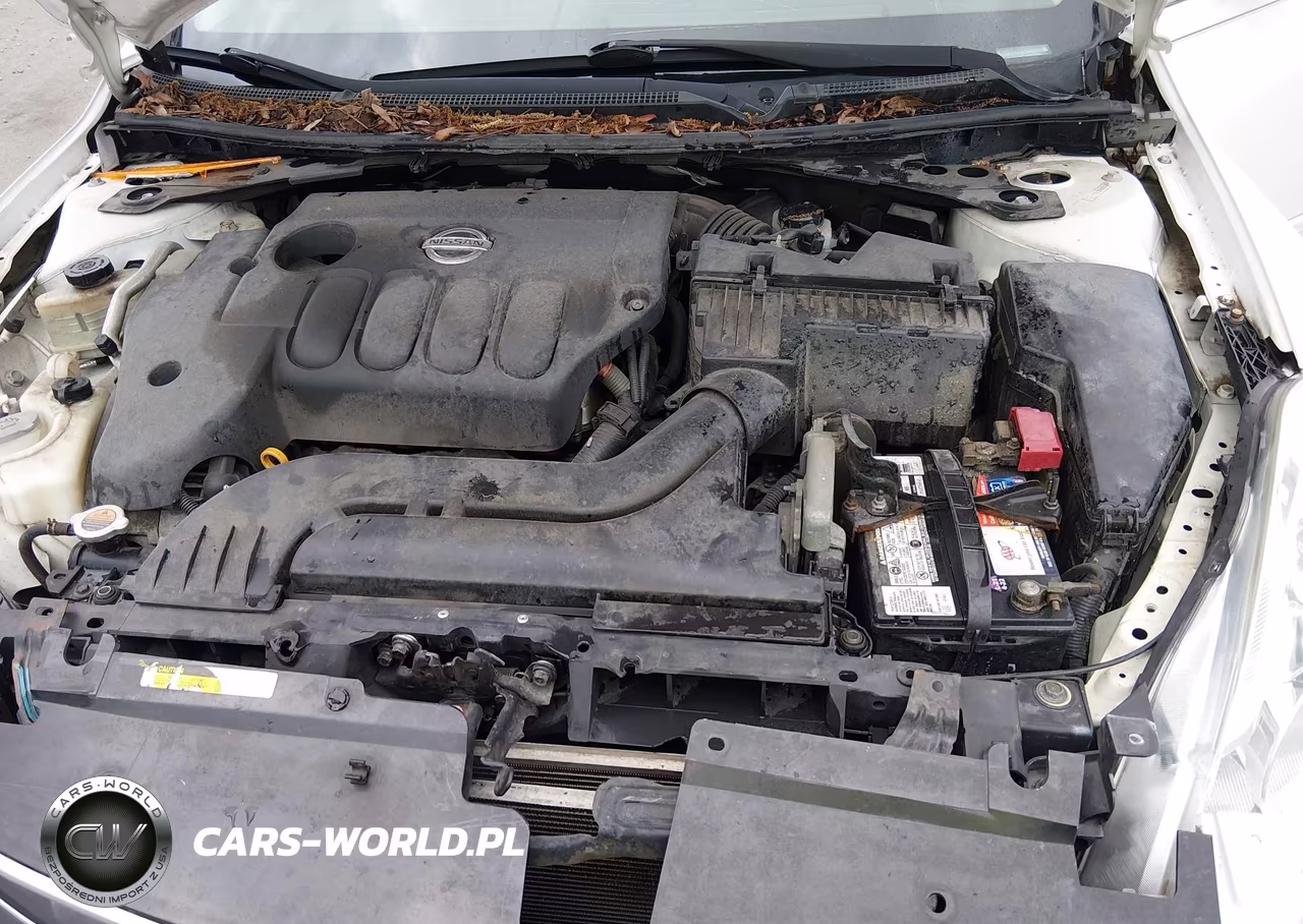NISSAN ALTIMA BAS VIN:1N4AL2AP7AN412056 - 10