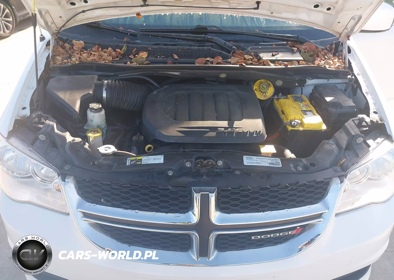 2019 Dodge Grand Caravan Sxt VIN:2C4RDGCG3KR741054 - 10