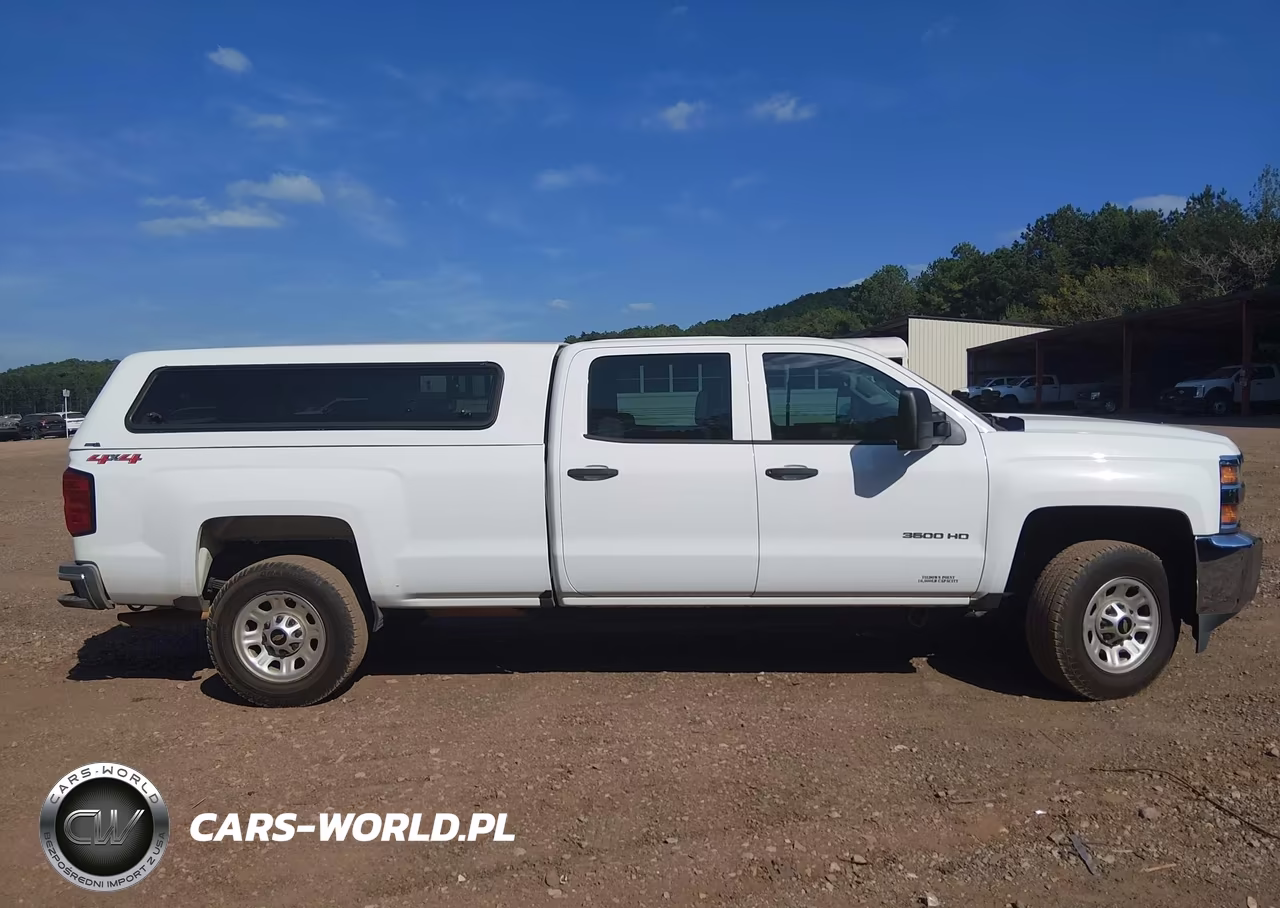 2018 Chevrolet Silverado 3500Hd Wt VIN:1GC4KYCG4JF273637 - 13