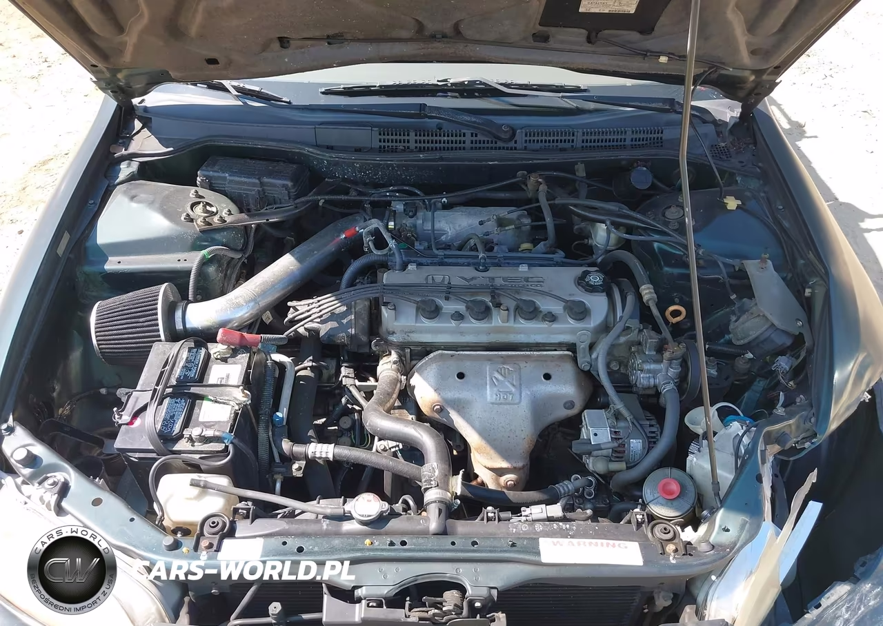 1998 Honda Accord Lx VIN:1HGCG5644WA244335 - 10