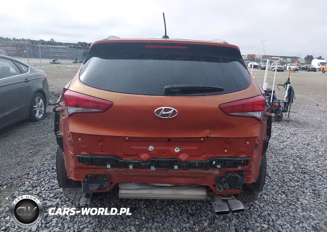 2016 Hyundai Tucson Eco VIN:KM8J33A21GU107179 - 17