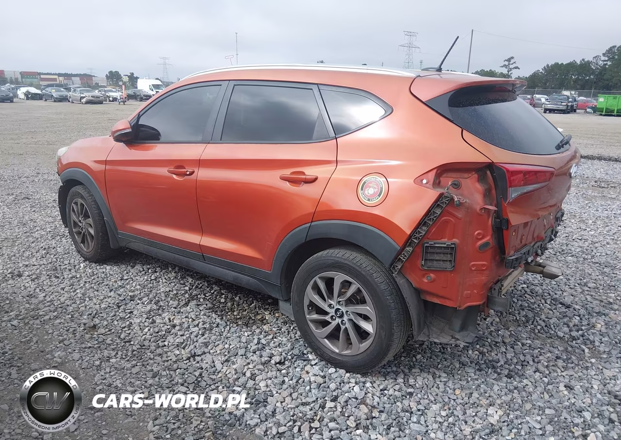 2016 Hyundai Tucson Eco VIN:KM8J33A21GU107179 - 3