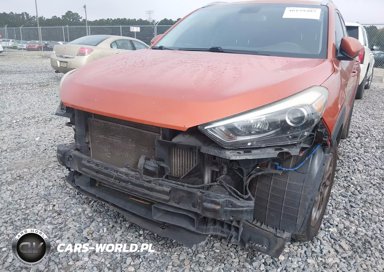 2016 Hyundai Tucson Eco VIN:KM8J33A21GU107179 - 6