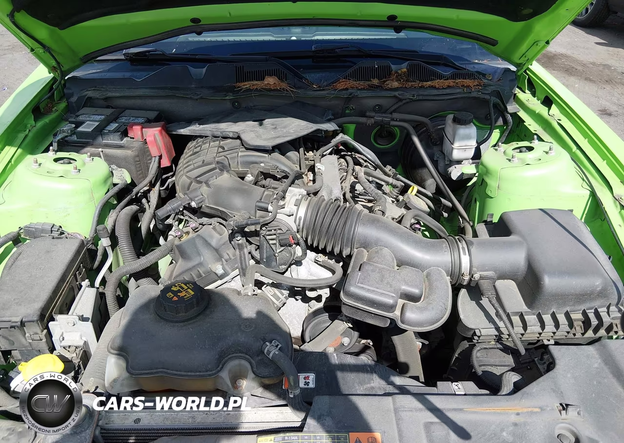 2013 Ford Mustang V6 VIN:1ZVBP8AM2D5280613 - 10