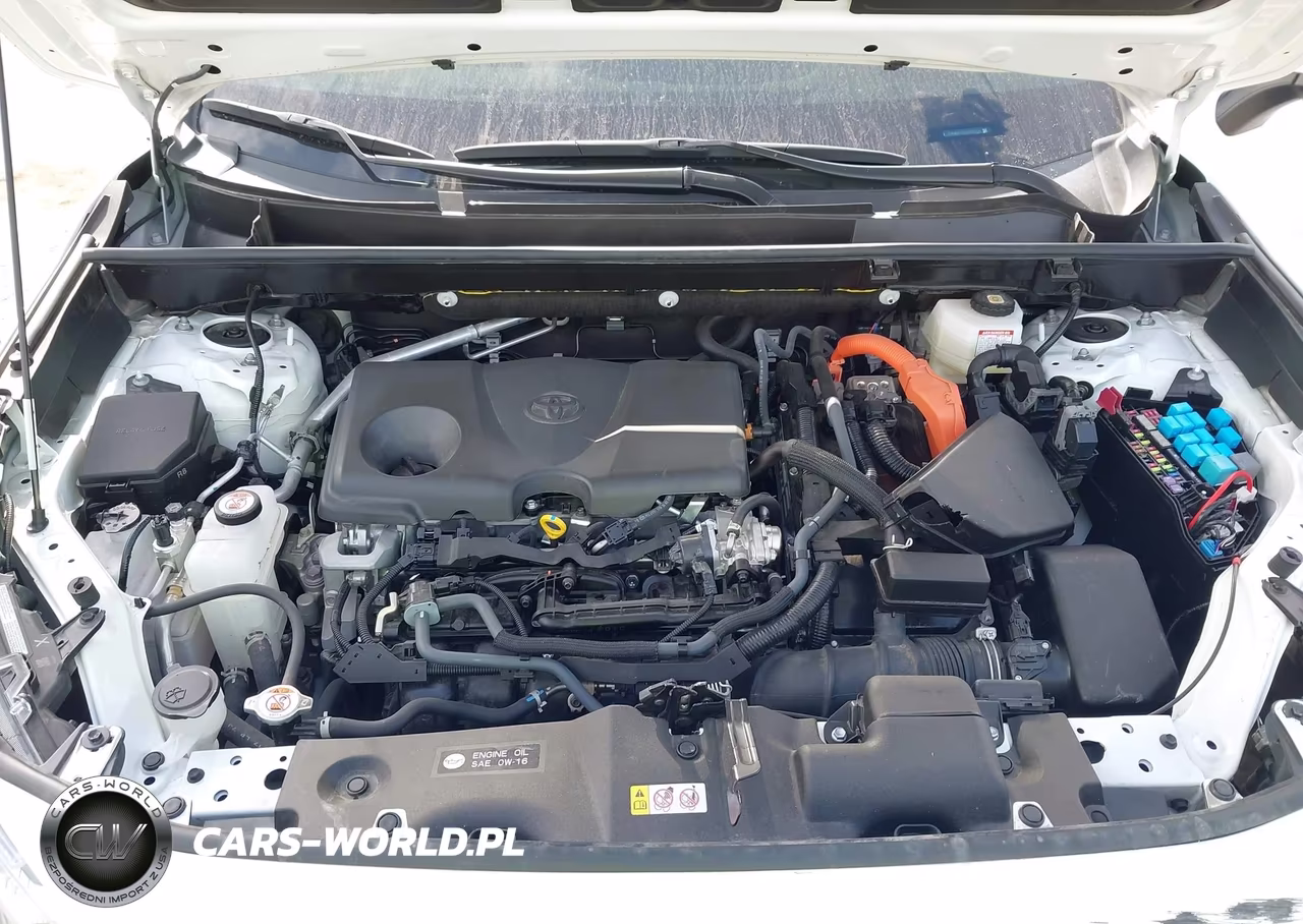 2025 Toyota Rav4 Hybrid Xle VIN:JTMRWRFV3SD333026 - 10
