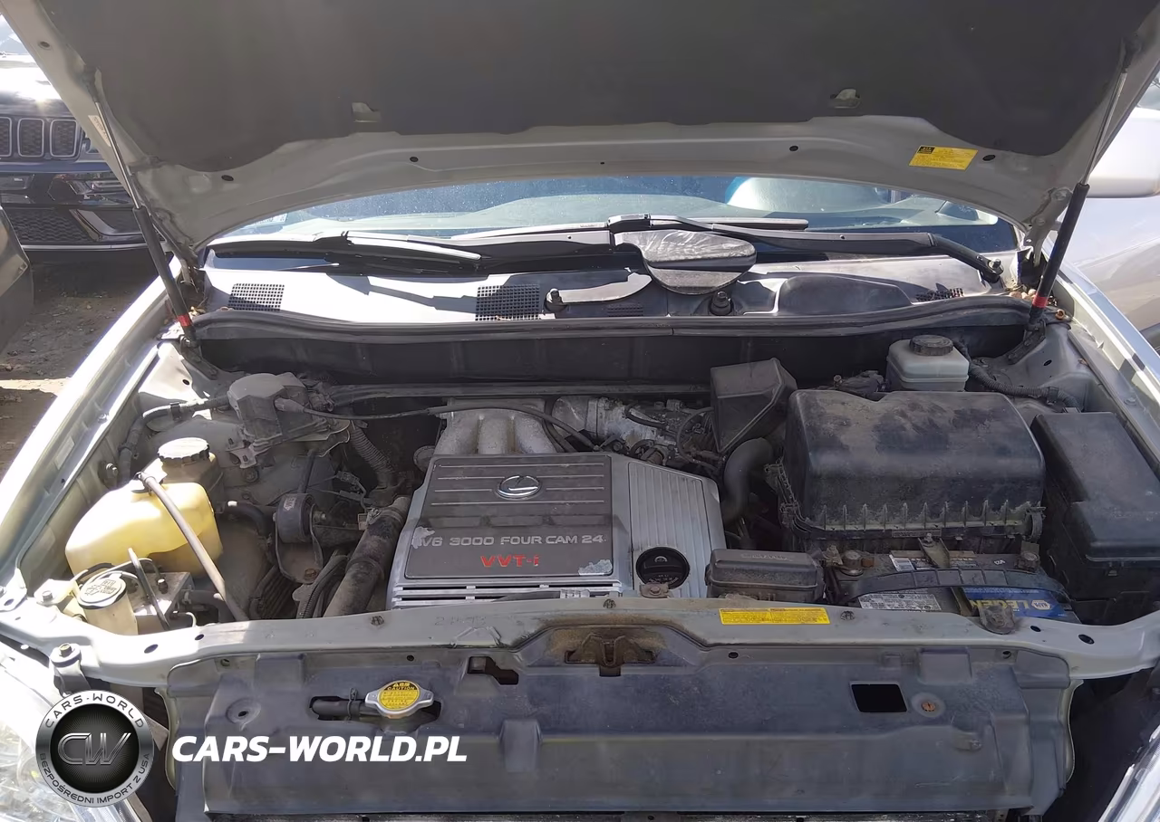 2001 Lexus Rx 300 VIN:JTJHF10U110195065 - 10