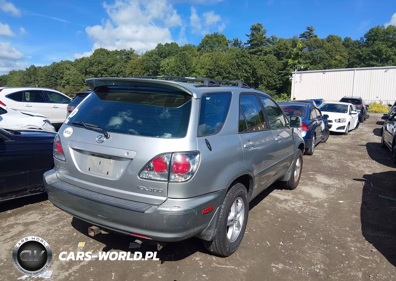 2001 Lexus Rx 300 VIN:JTJHF10U110195065 - 4