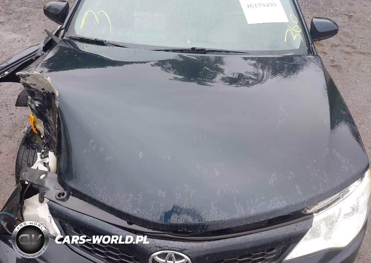 2013 Toyota Camry Se VIN:4T1BF1FK6DU659989 - 10