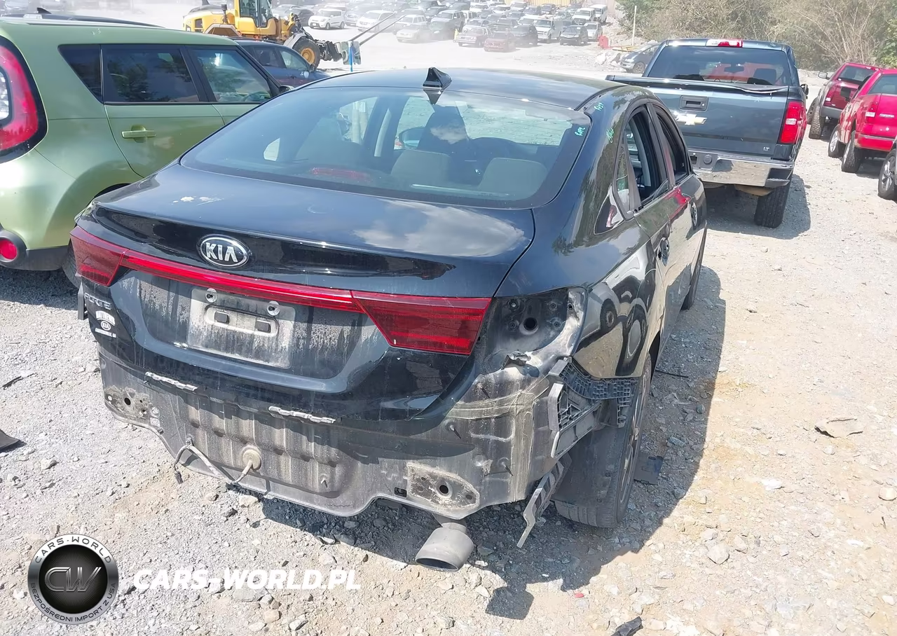 2020 Kia Forte Lxs VIN:3KPF24AD8LE198027 - 4