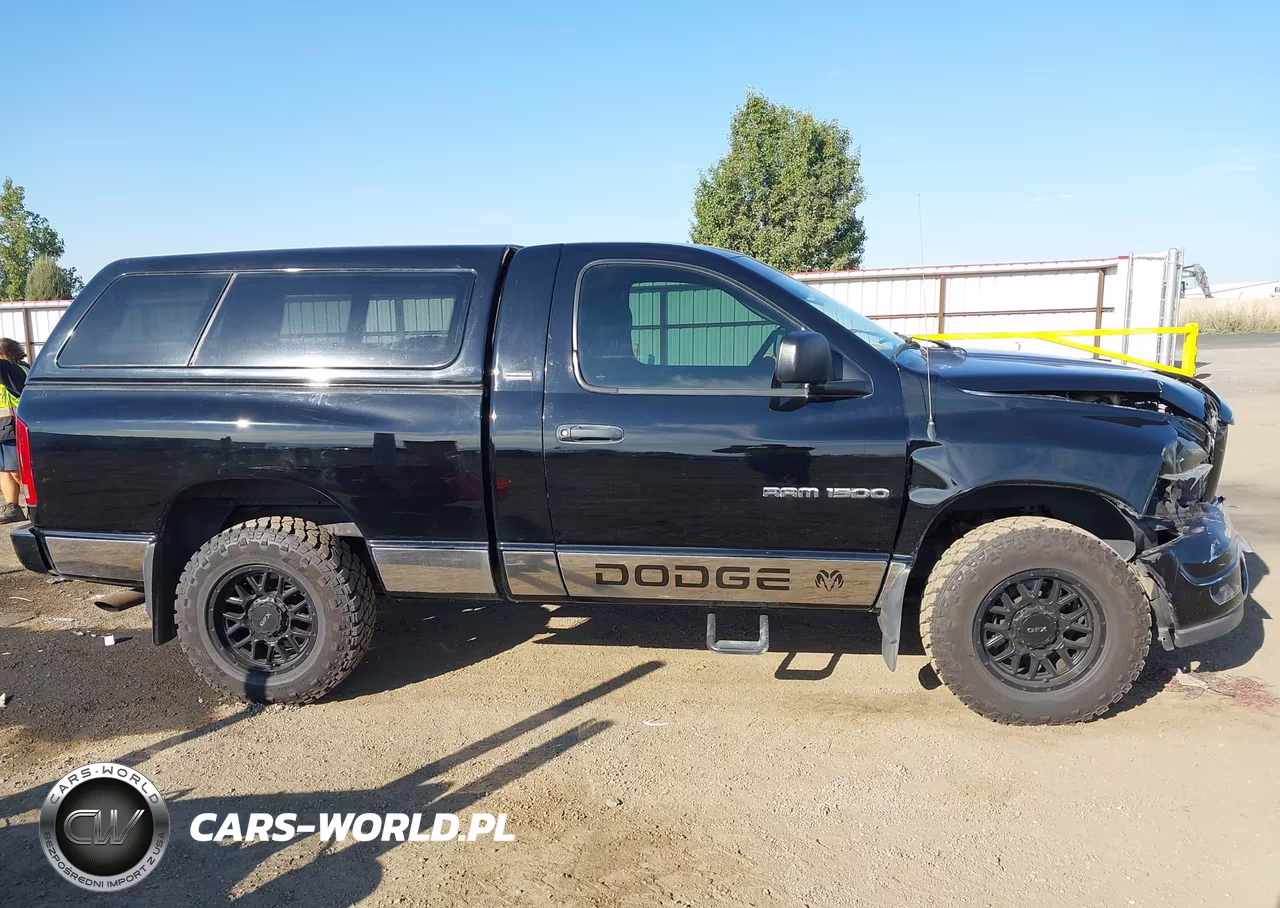 2002 Dodge Ram 1500 St VIN:1D7HU16Z92J263772 - 13