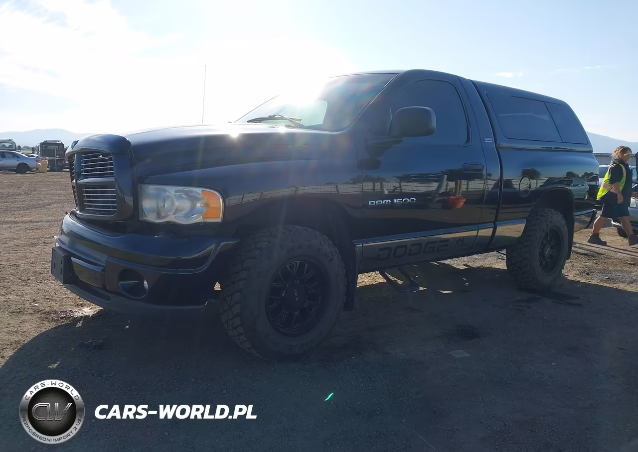 2002 Dodge Ram 1500 St VIN:1D7HU16Z92J263772 - 2