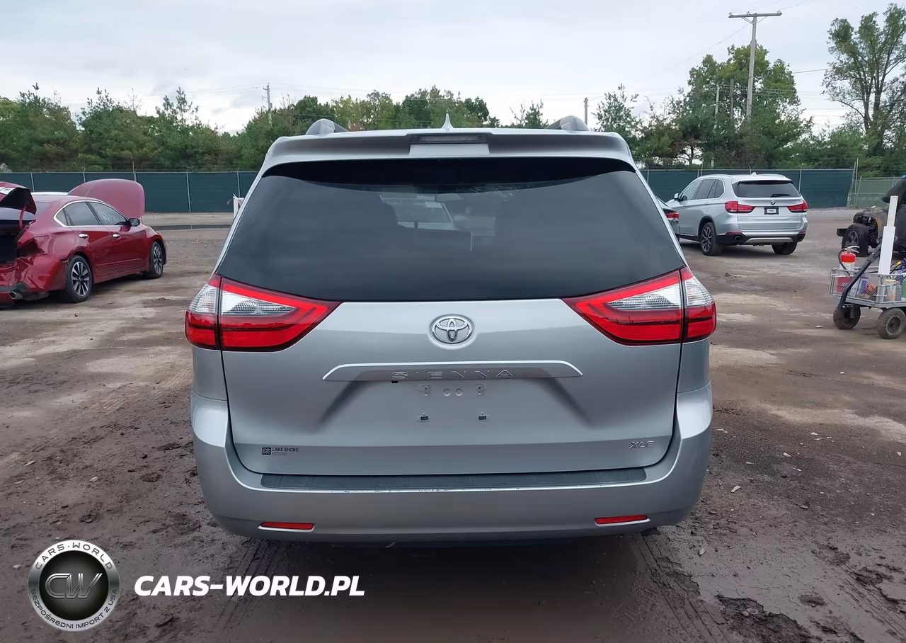 2020 Toyota Sienna Xle VIN:5TDYZ3DC8LS070460 - 17