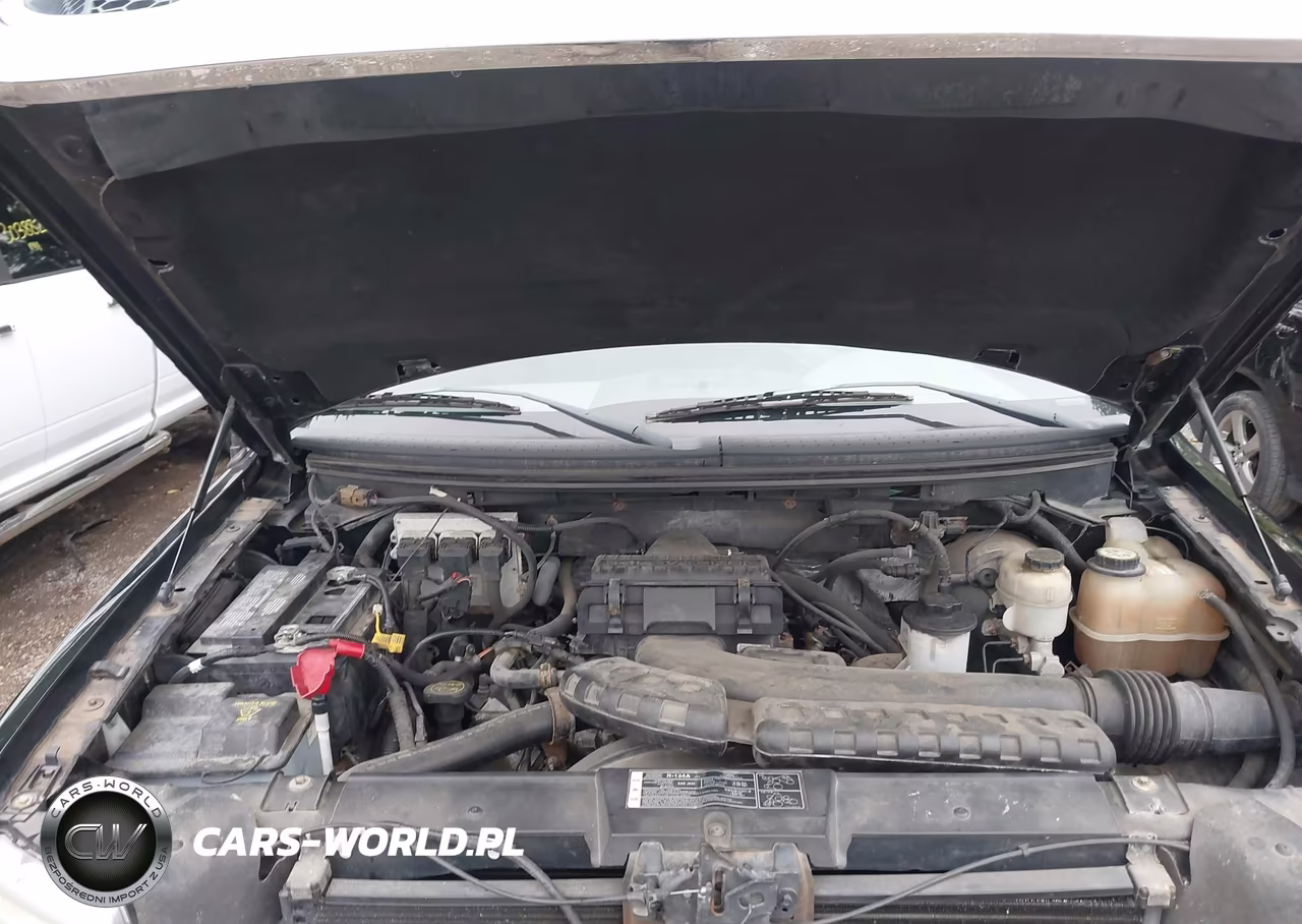 2008 Ford F-150 Fx4-Lariat-Xl-Xlt VIN:1FTPX14V08KD16455 - 10