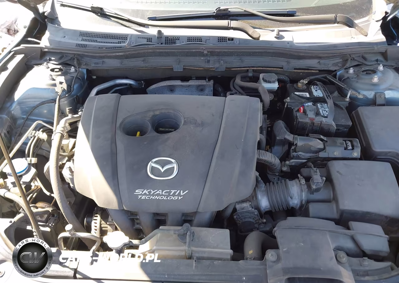 2016 Mazda Mazda3 I Touring VIN:JM1BM1W73G1299513 - 10