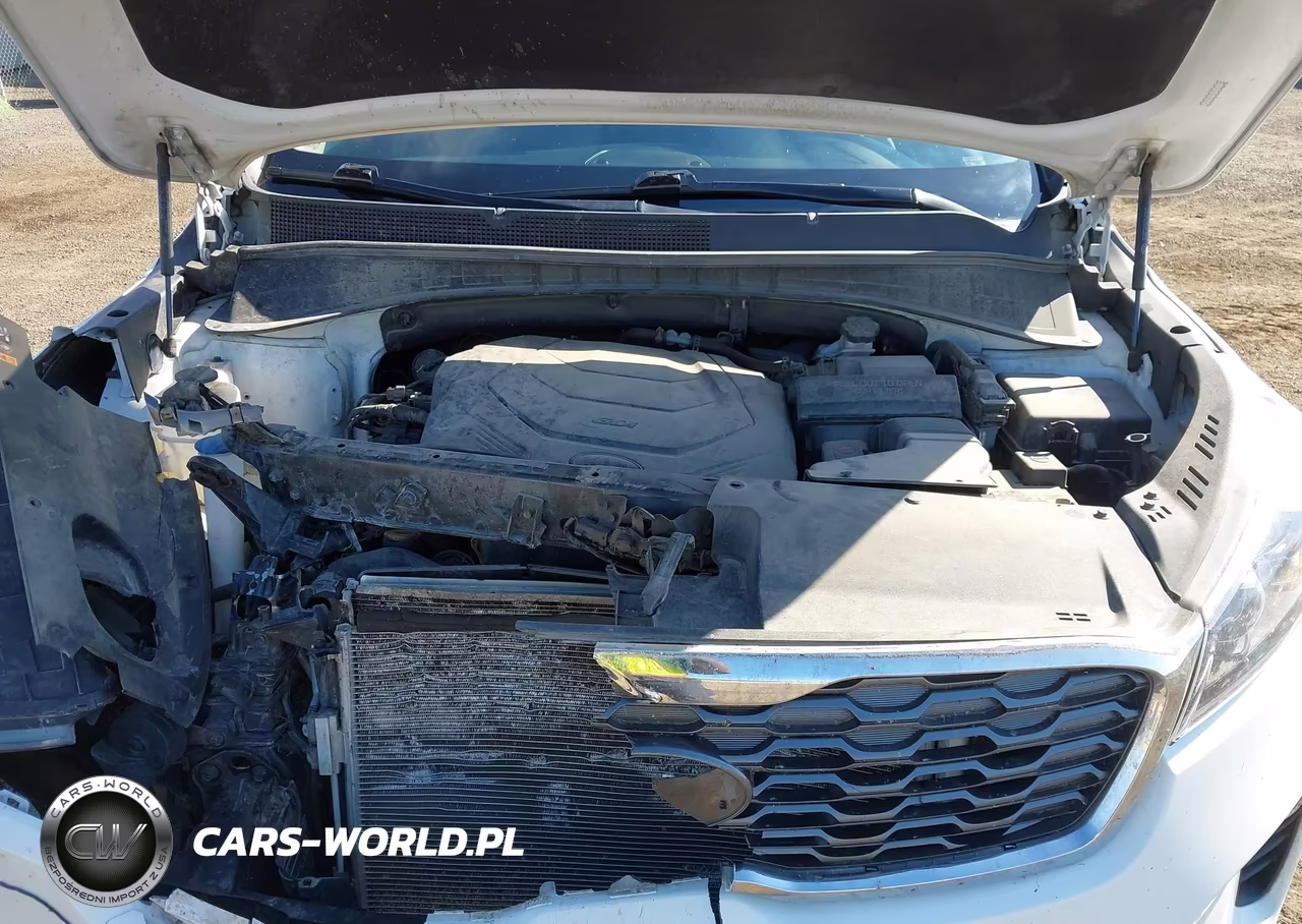 2020 Kia Sorento 3.3L Ex VIN:5XYPHDA57LG695679 - 10
