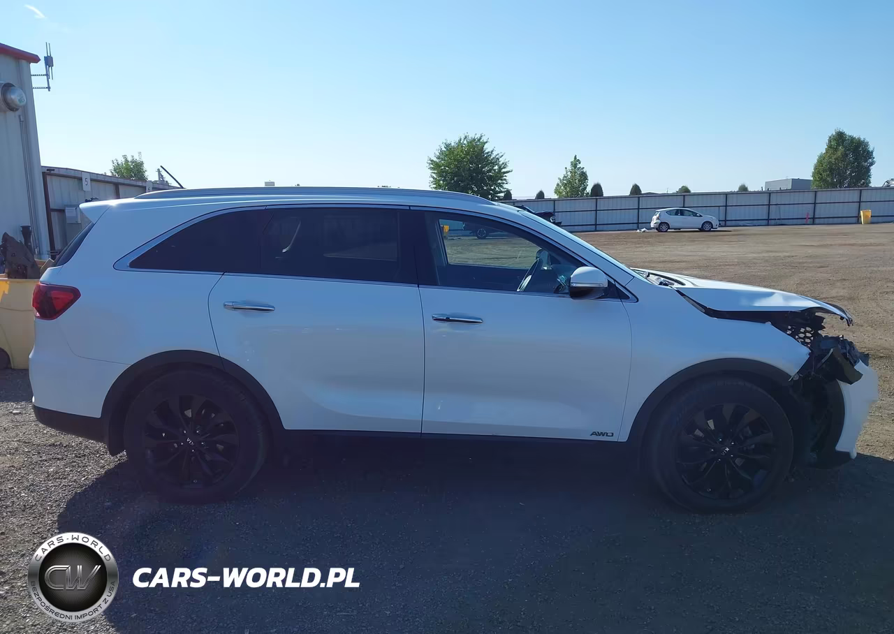 2020 Kia Sorento 3.3L Ex VIN:5XYPHDA57LG695679 - 13