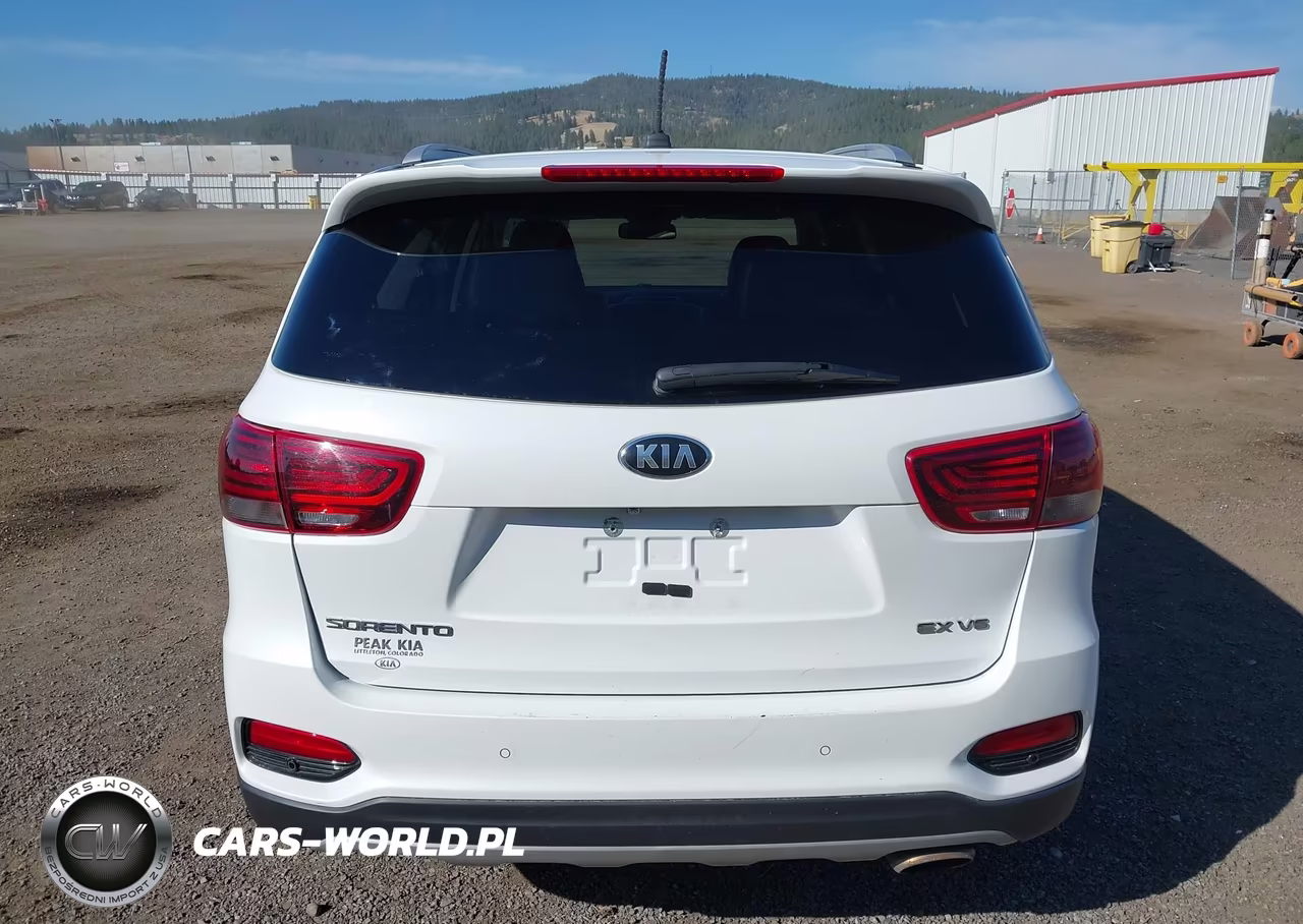 2020 Kia Sorento 3.3L Ex VIN:5XYPHDA57LG695679 - 16