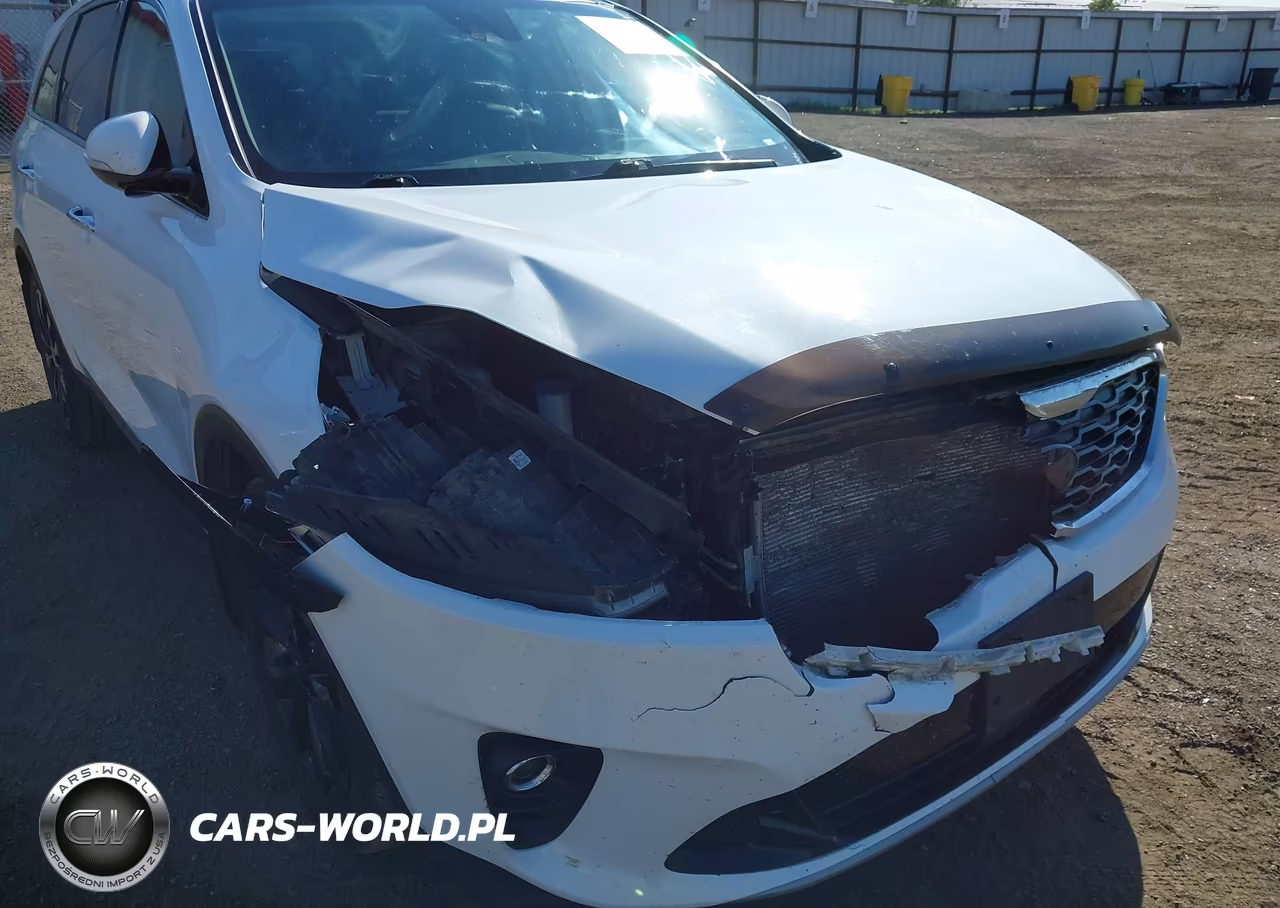 2020 Kia Sorento 3.3L Ex VIN:5XYPHDA57LG695679 - 17