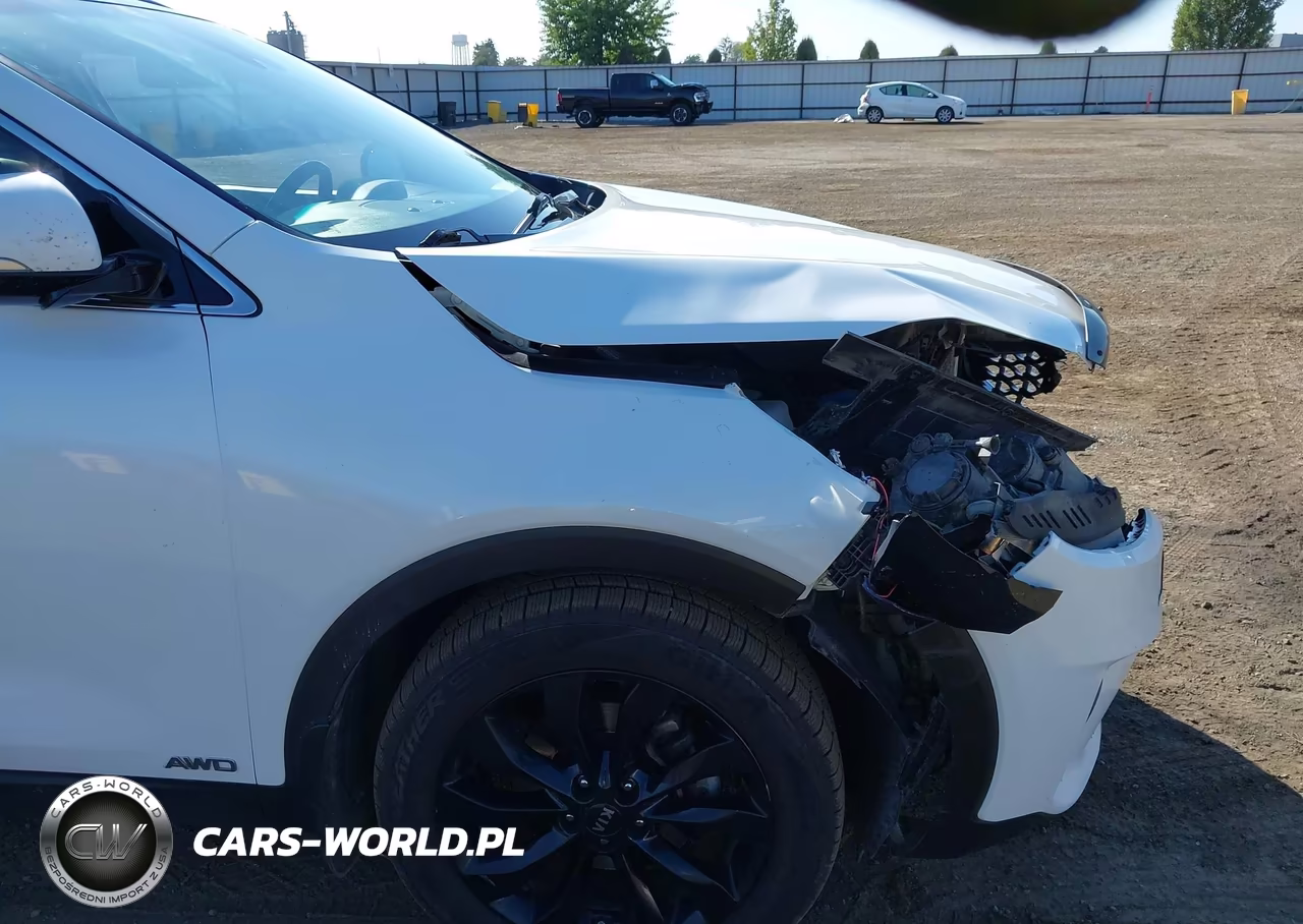 2020 Kia Sorento 3.3L Ex VIN:5XYPHDA57LG695679 - 18