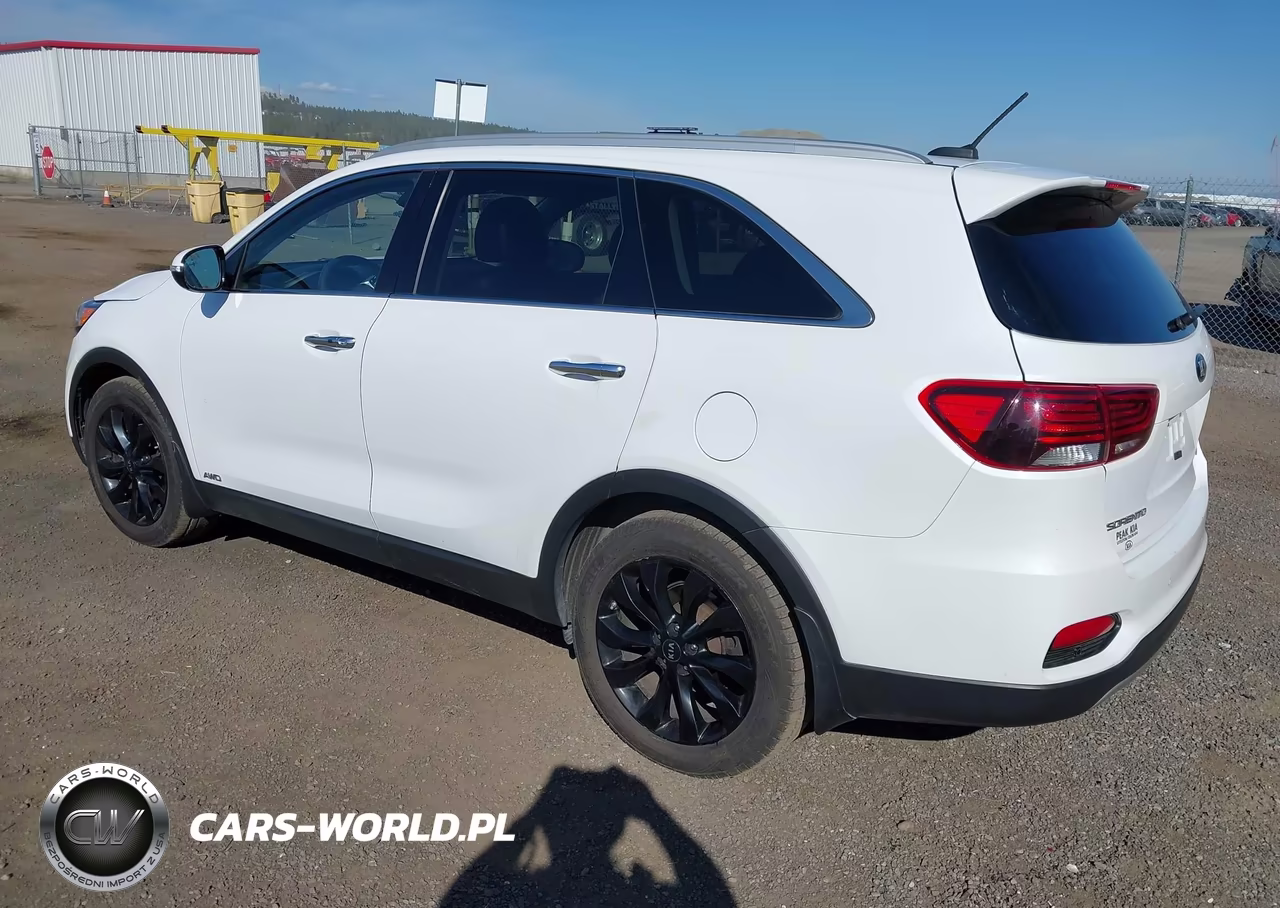 2020 Kia Sorento 3.3L Ex VIN:5XYPHDA57LG695679 - 3