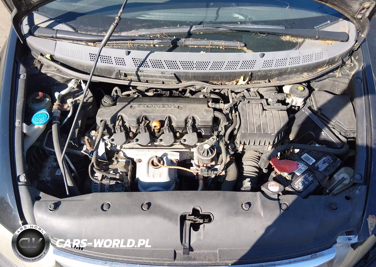 2009 Honda Civic Lx VIN:2HGFA165X9H365666 - 10