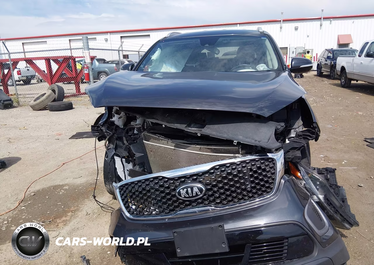 2017 Kia Sorento 2.4L Lx VIN:5XYPGDA37HG275610 - 12