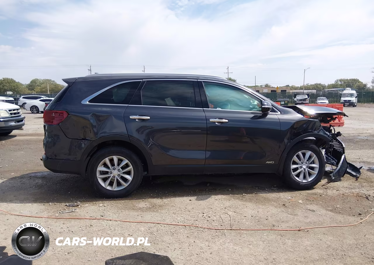 2017 Kia Sorento 2.4L Lx VIN:5XYPGDA37HG275610 - 13