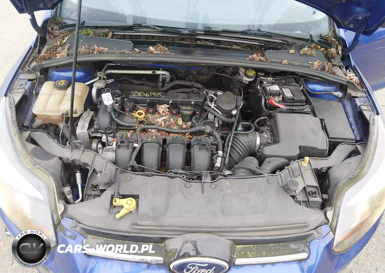 2014 Ford Focus Titanium VIN:1FADP3J24EL312249 - 10