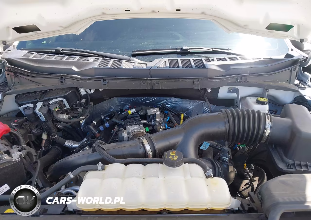 2025 Ford F-150 Stx VIN:1FTEW2KP8SKD11547 - 10