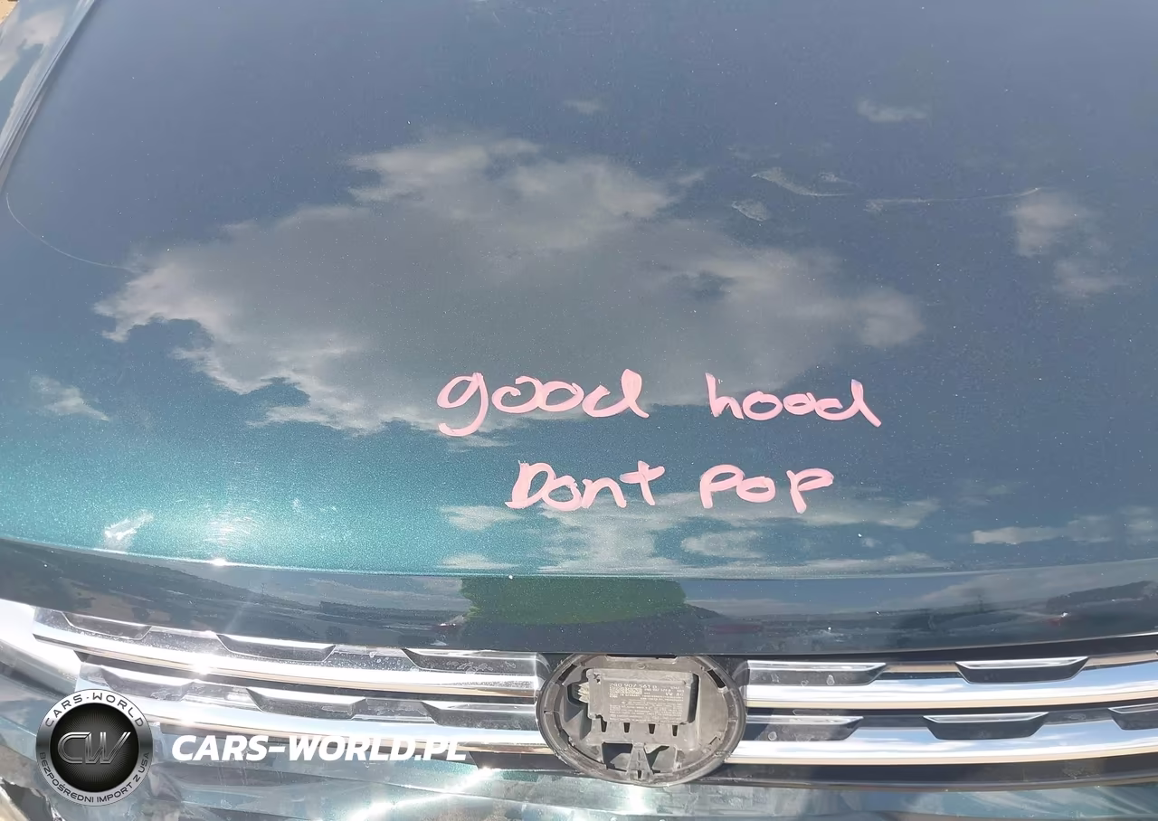 2019 Volkswagen Tiguan 2.0T Se-2.0T Sel-2.0T Sel R-Line-2.0T Sel R-Line Black VIN:3VV3B7AX9KM109053 - 10