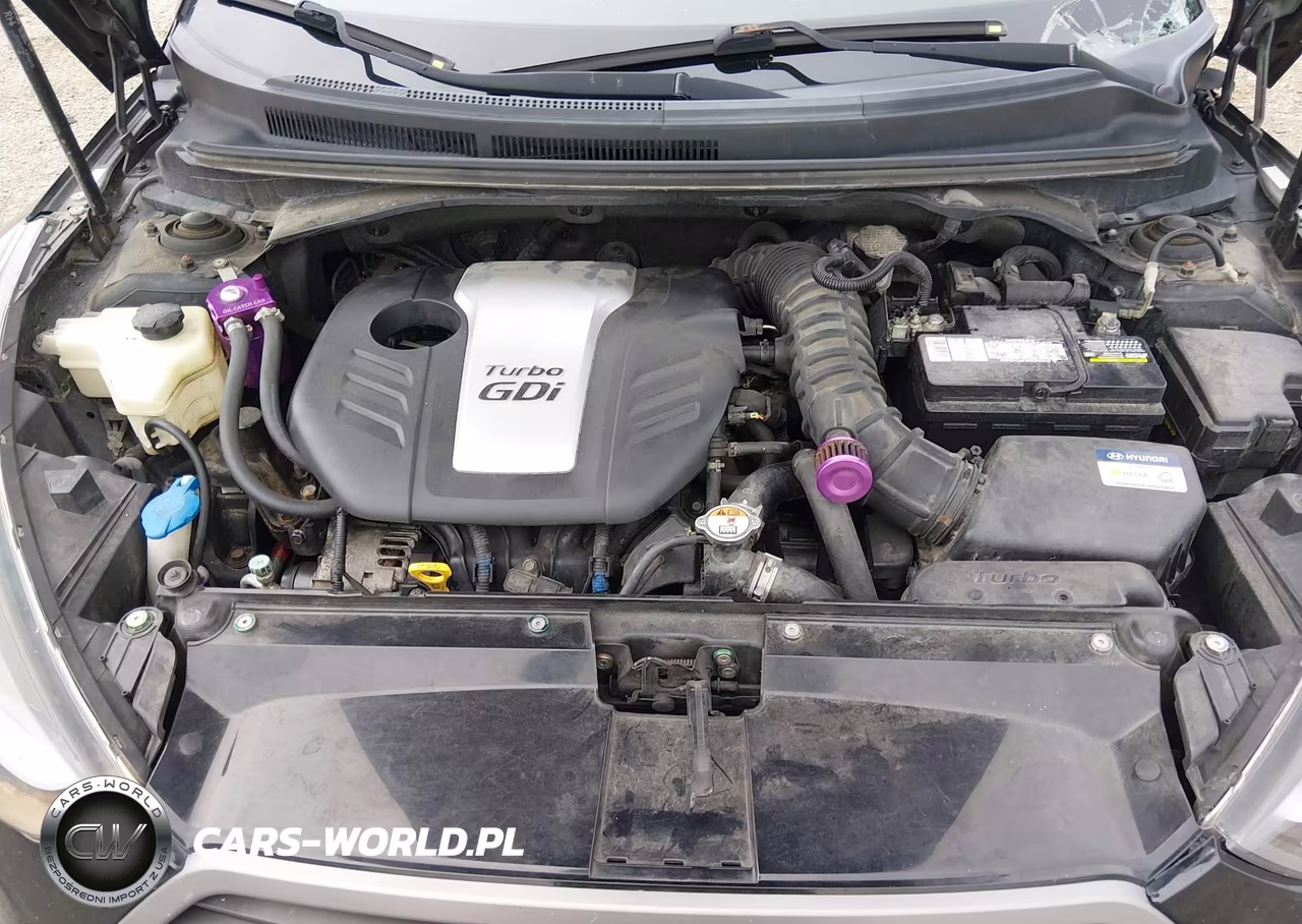 2016 Hyundai Veloster Turbo VIN:KMHTC6AEXGU257926 - 10