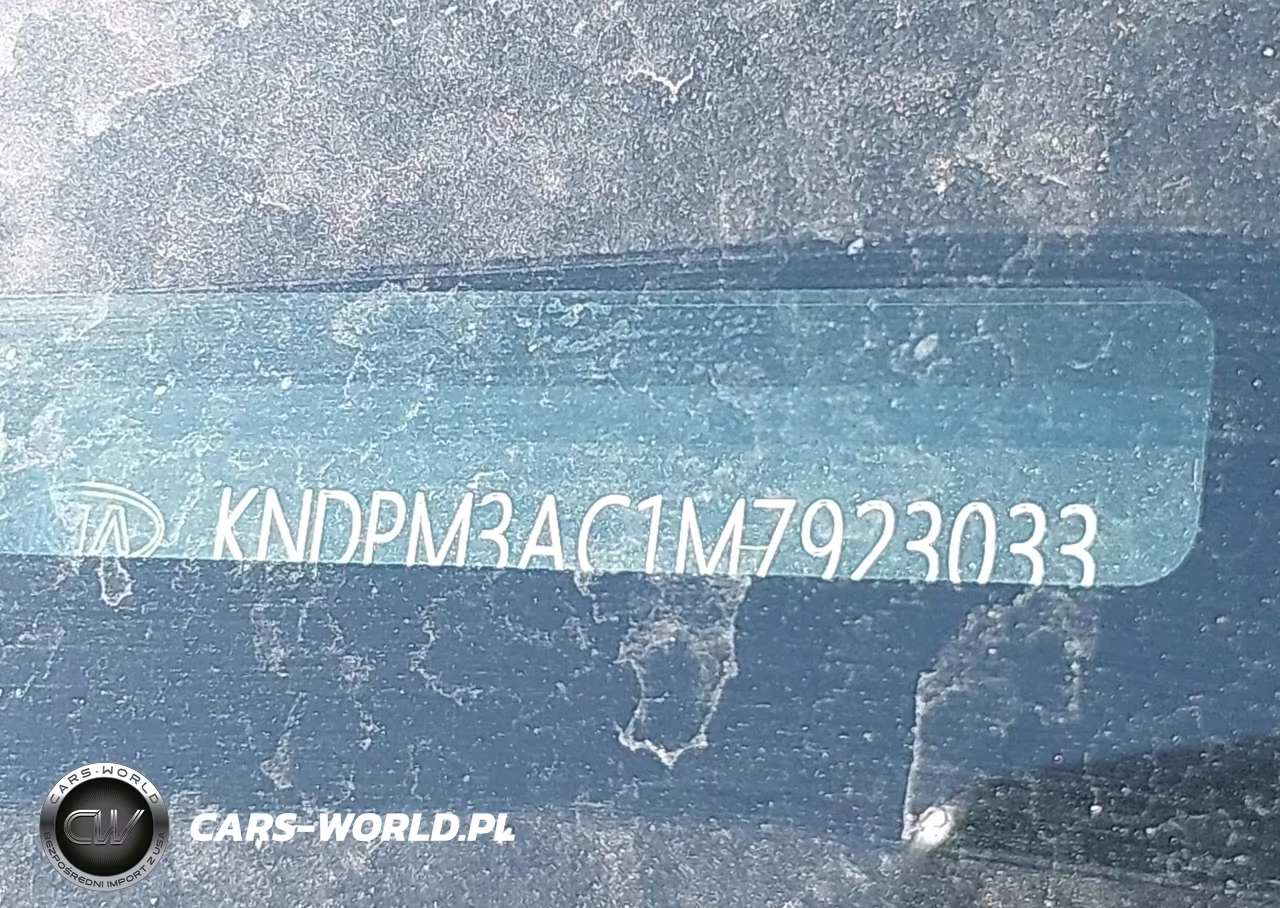 2021 Kia Sportage Lx VIN:KNDPM3AC1M7923033 - 17