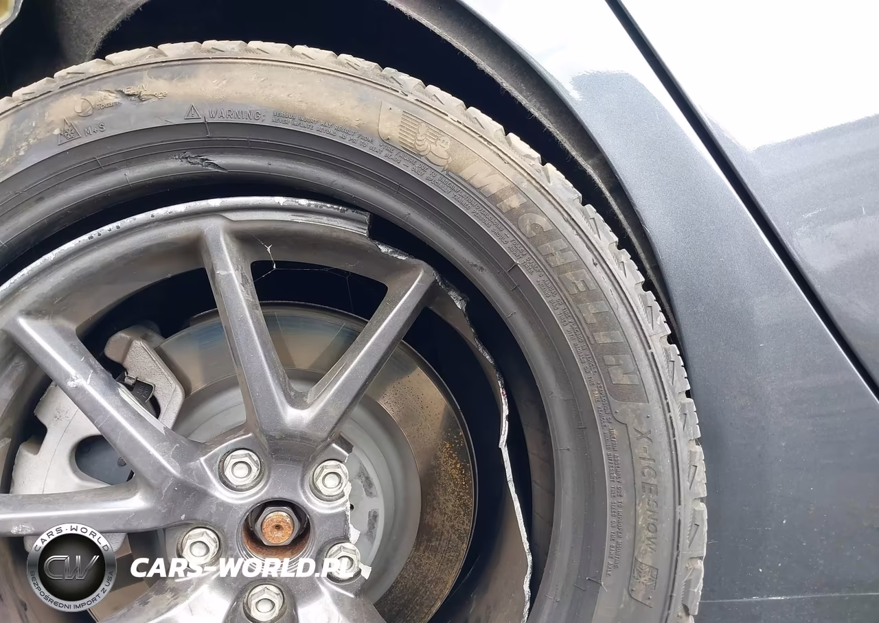 2023 Tesla Model 3 Rear-Wheel Drive VIN:5YJ3E1EAXPF501236 - 21