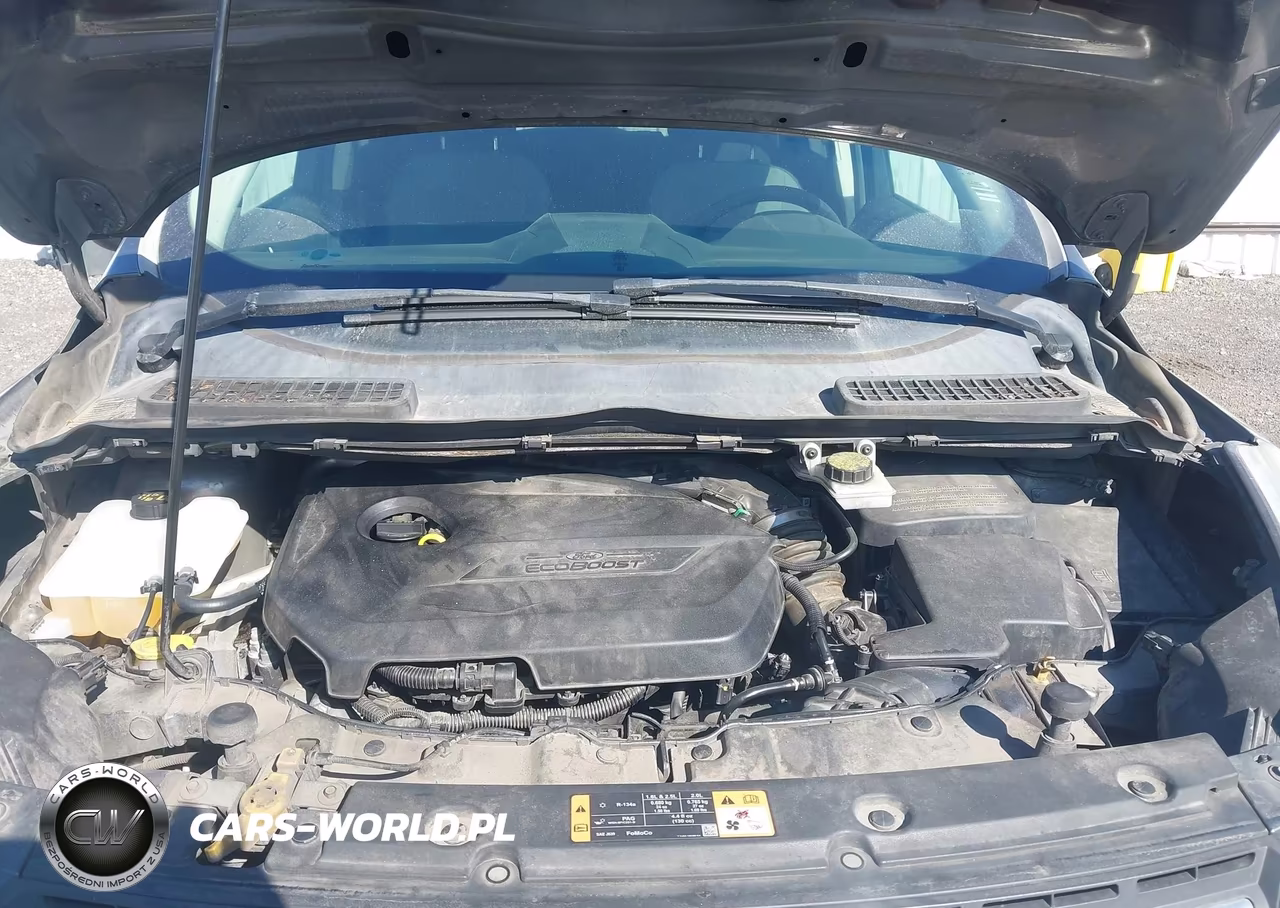 2014 Ford Escape Se VIN:1FMCU9GX7EUC84103 - 10