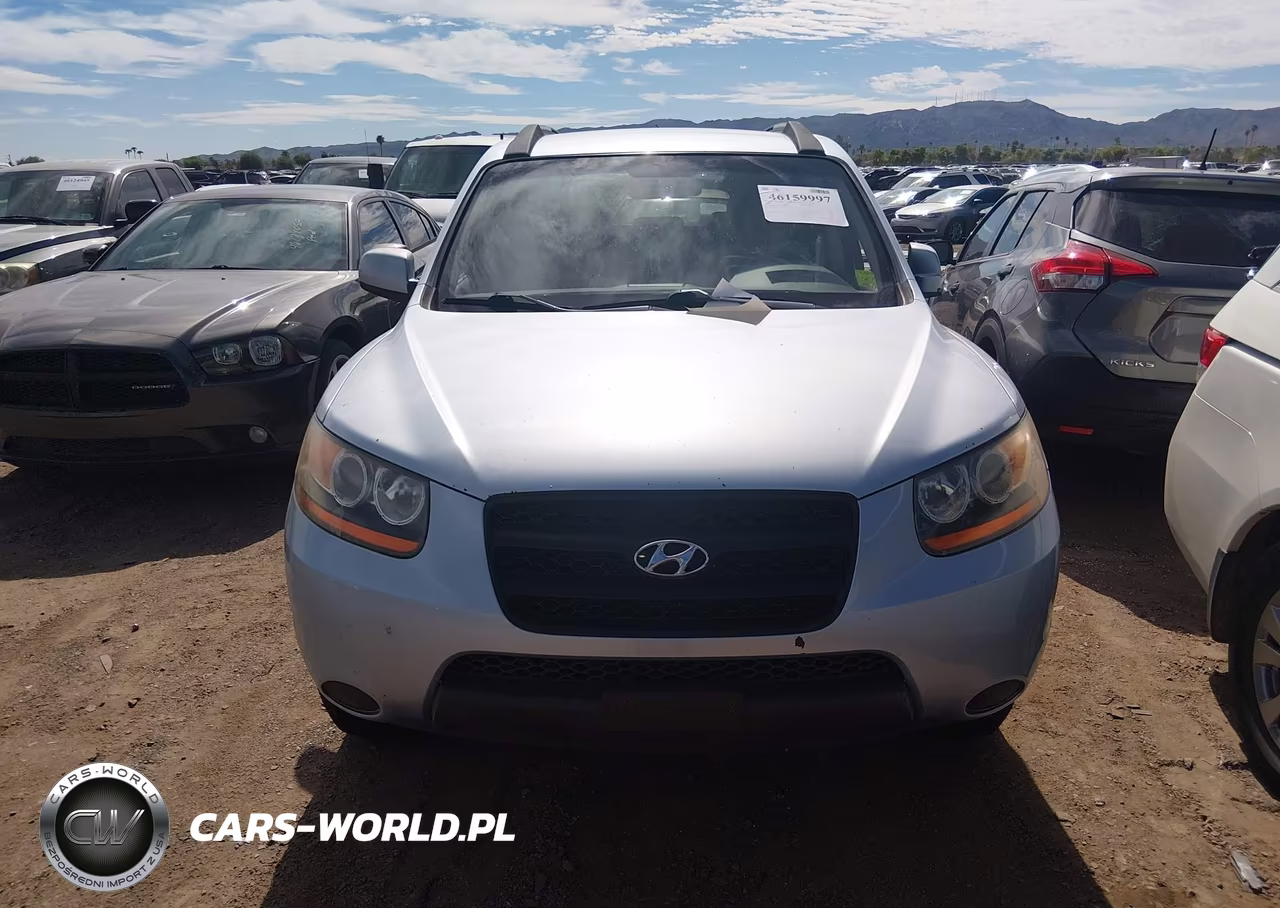 2008 Hyundai Santa Fe Gls VIN:5NMSG13D98H228809 - 6