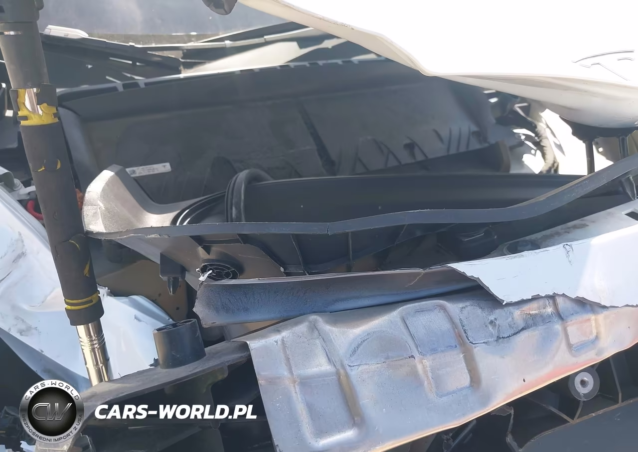 2023 Tesla Model Y Awd-Long Range Dual Motor All-Wheel Drive VIN:7SAYGDEE8PA106055 - 10