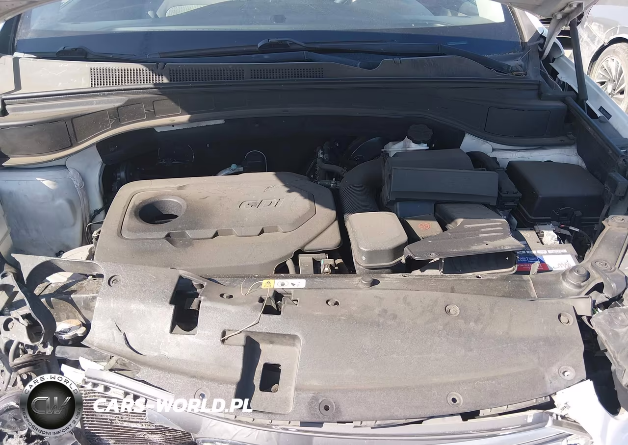 2018 Hyundai Santa Fe Sport 2.4L VIN:5NMZT3LB6JH082007 - 10