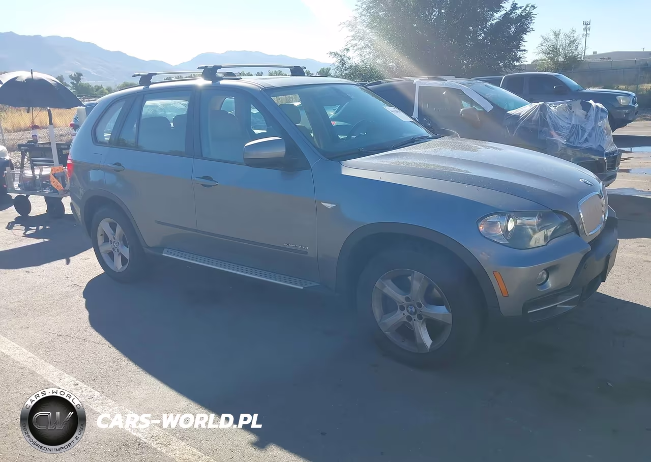 2010 BMW X5 xDrive35D VIN:5UXFF0C50ALJ99856 - 1