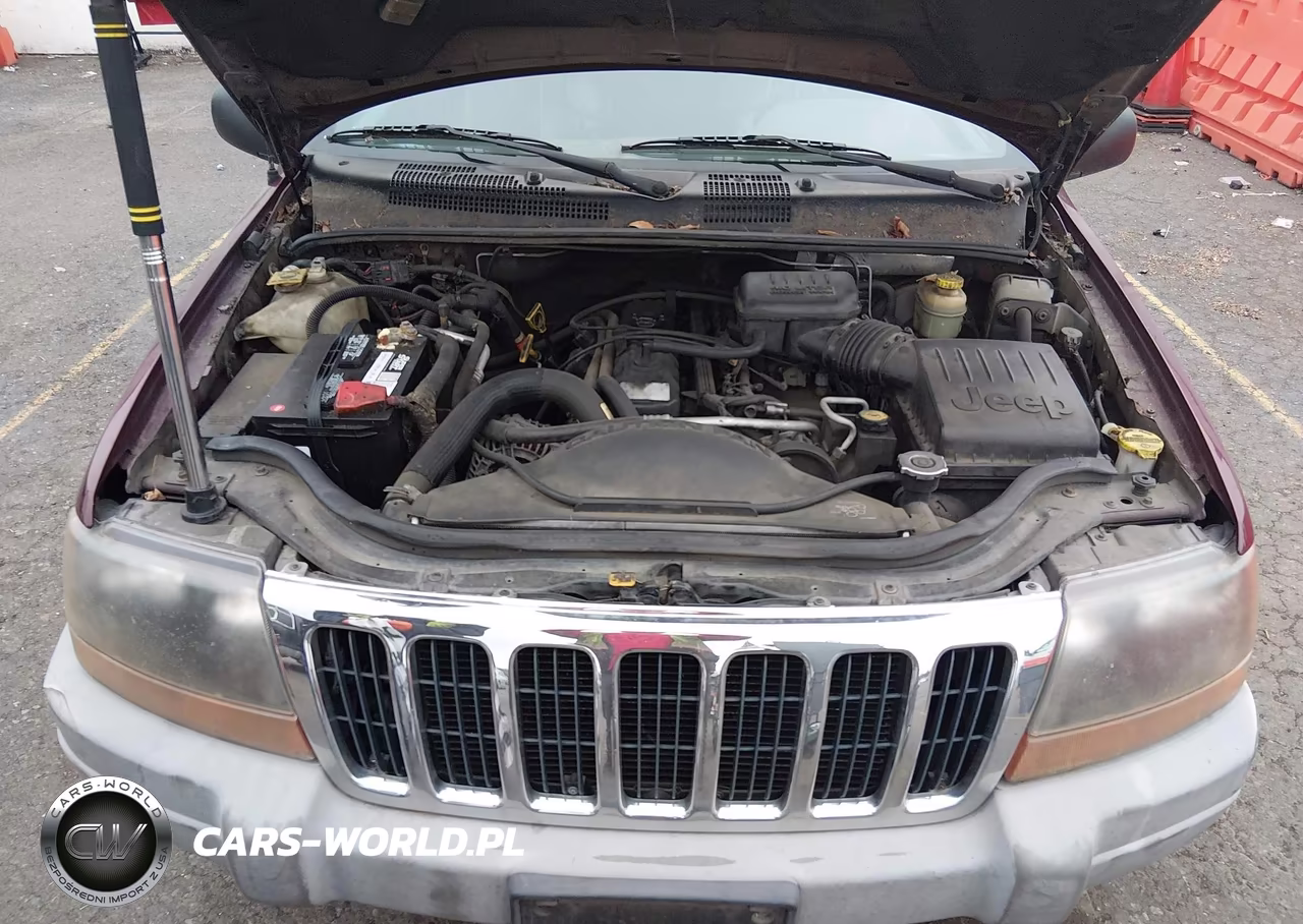 1999 Jeep Grand Cherokee Laredo VIN:1J4GW58S8XC646194 - 10