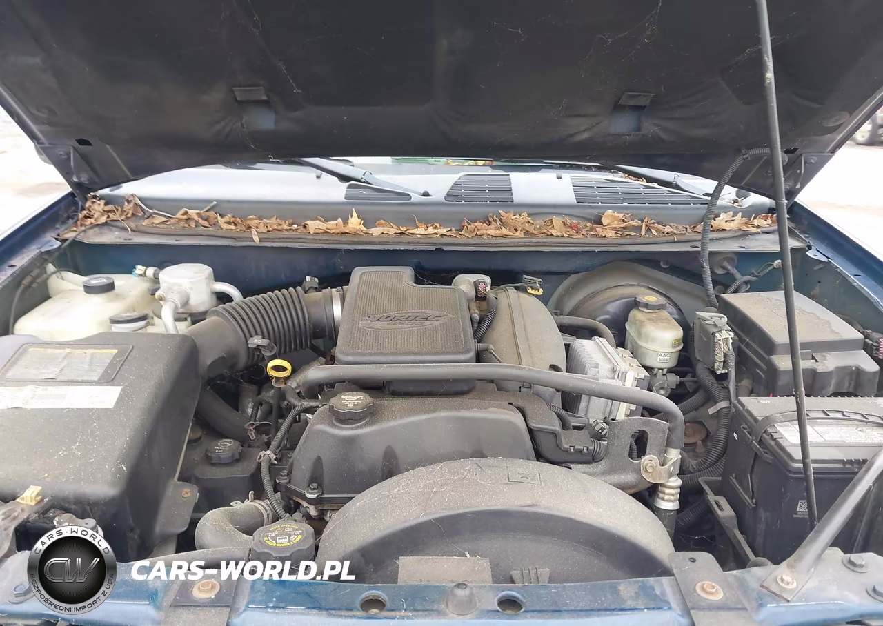 2003 Chevrolet Trailblazer Ls VIN:1GNDT13S032125589 - 10