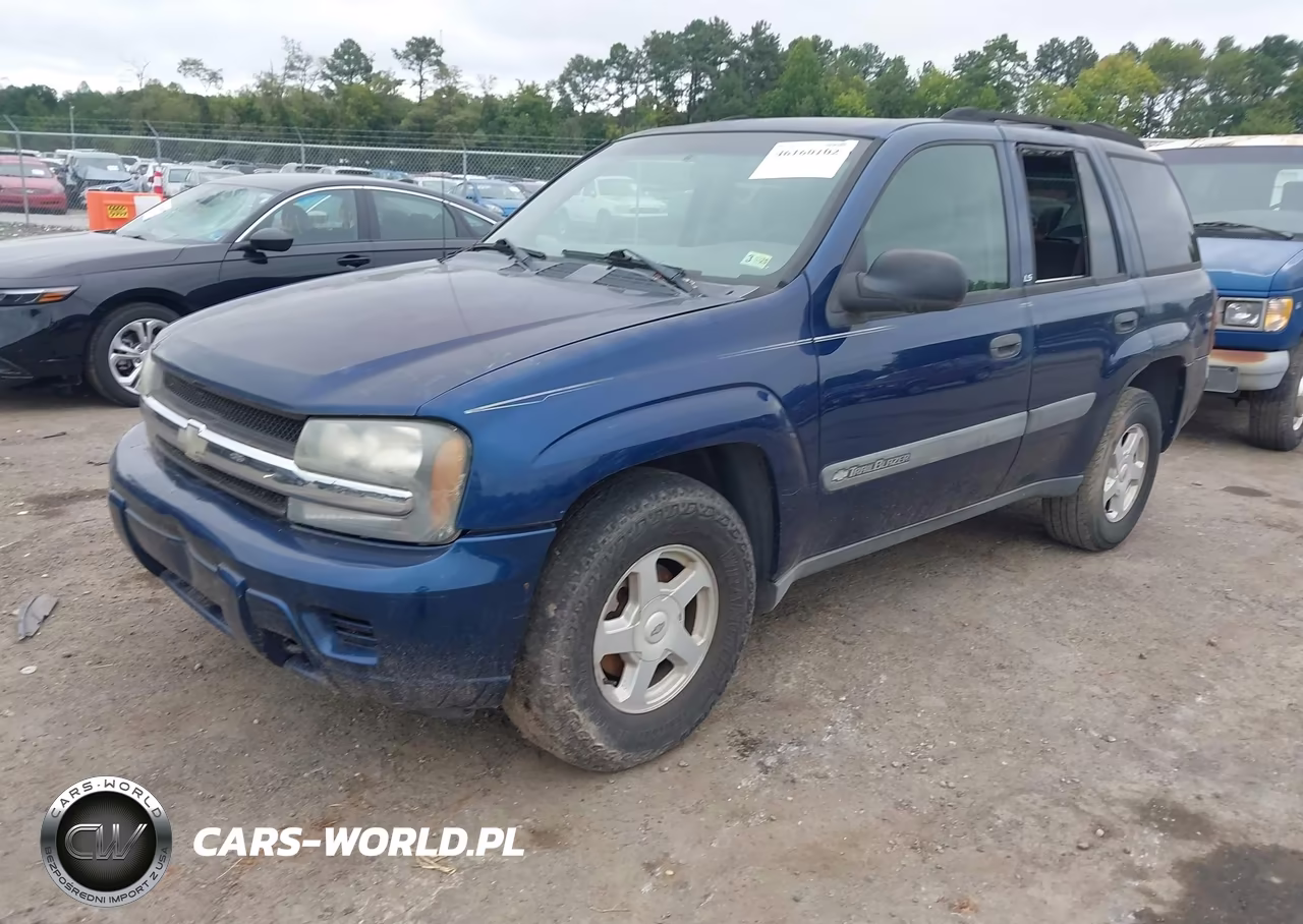 2003 Chevrolet Trailblazer Ls VIN:1GNDT13S032125589 - 2