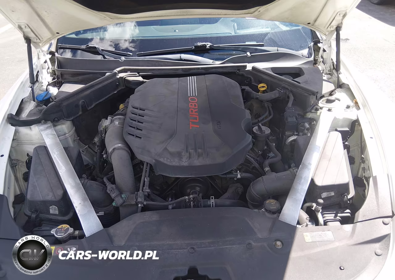 2019 Kia Stinger Gt2 VIN:KNAE55LC4K6044316 - 10