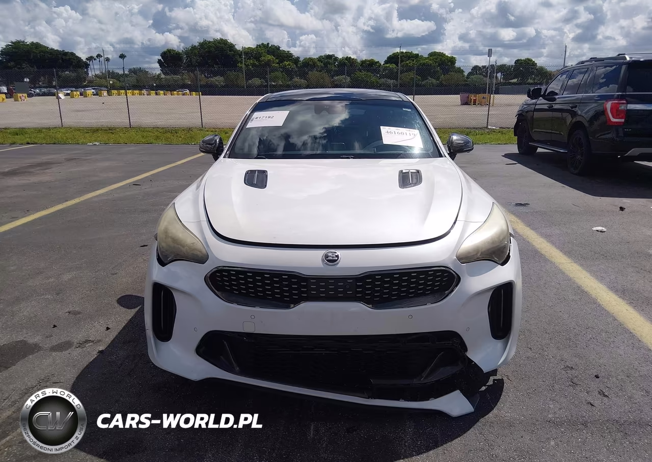 2019 Kia Stinger Gt2 VIN:KNAE55LC4K6044316 - 13