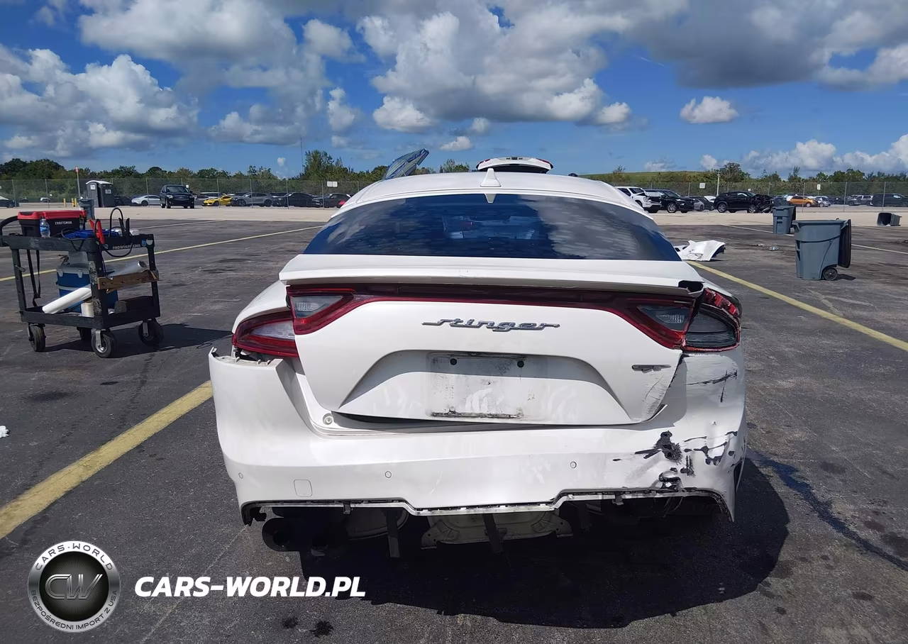 2019 Kia Stinger Gt2 VIN:KNAE55LC4K6044316 - 17
